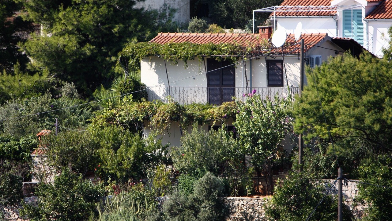 Photo of Outdoor in Maslinica