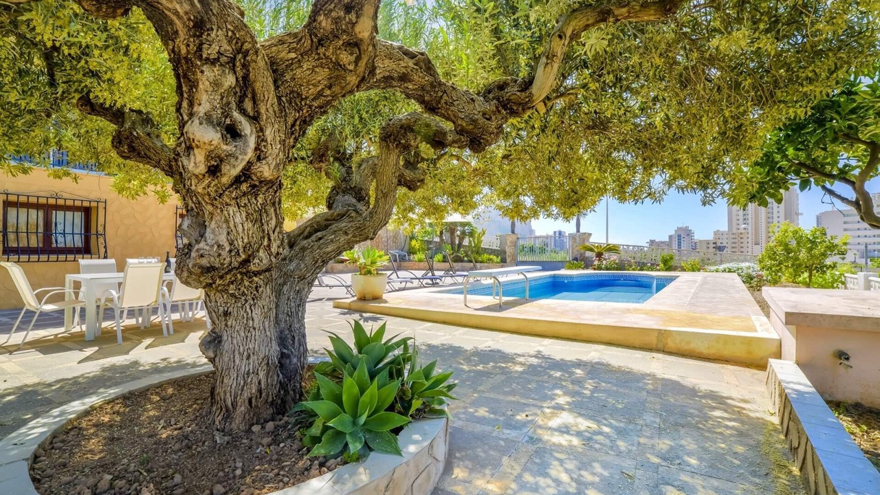 Photo of Outdoor in Calpe