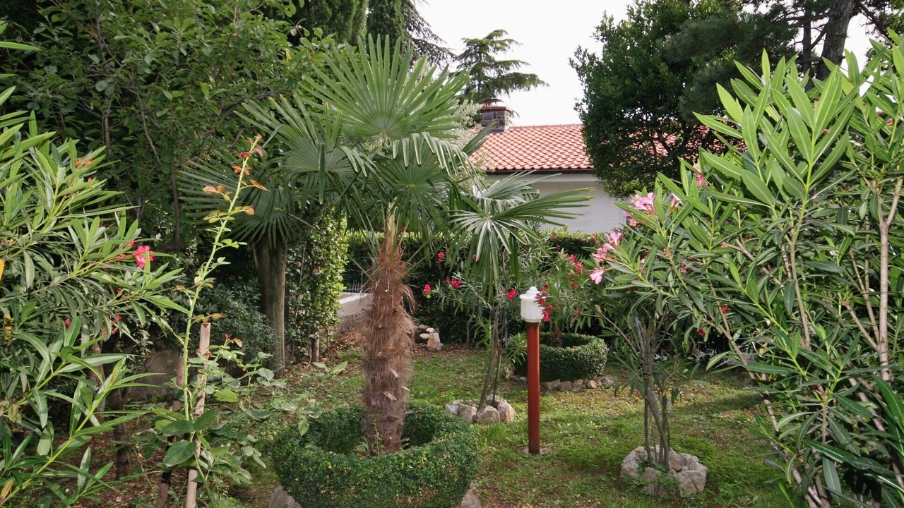 Photo of Others in Selce