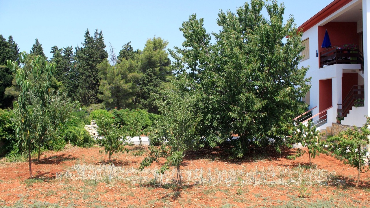 Photo of Outdoor in Batalaza