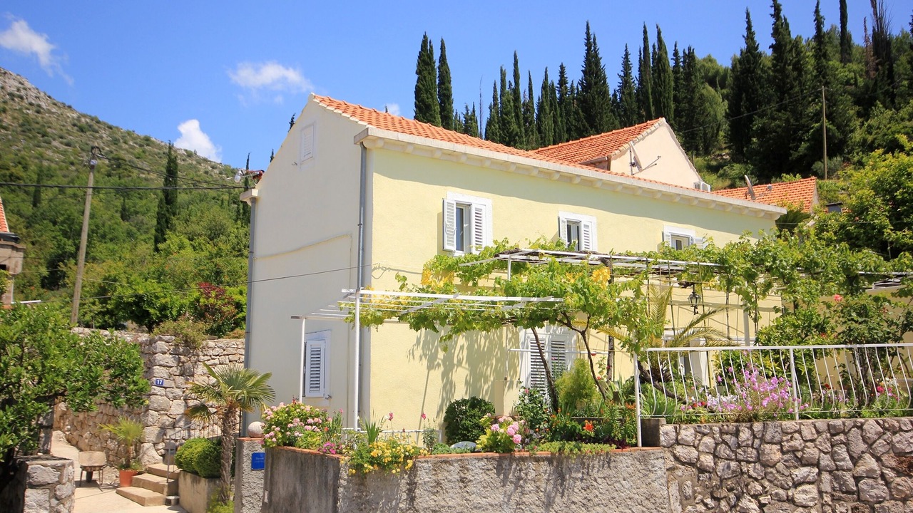 Photo of Outdoor in Trsteno