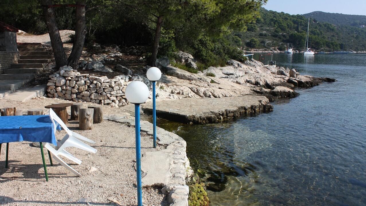 Photo of Others in Maslinica