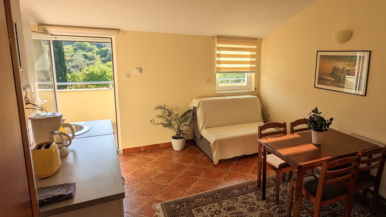 Photo of Livingroom in Susica