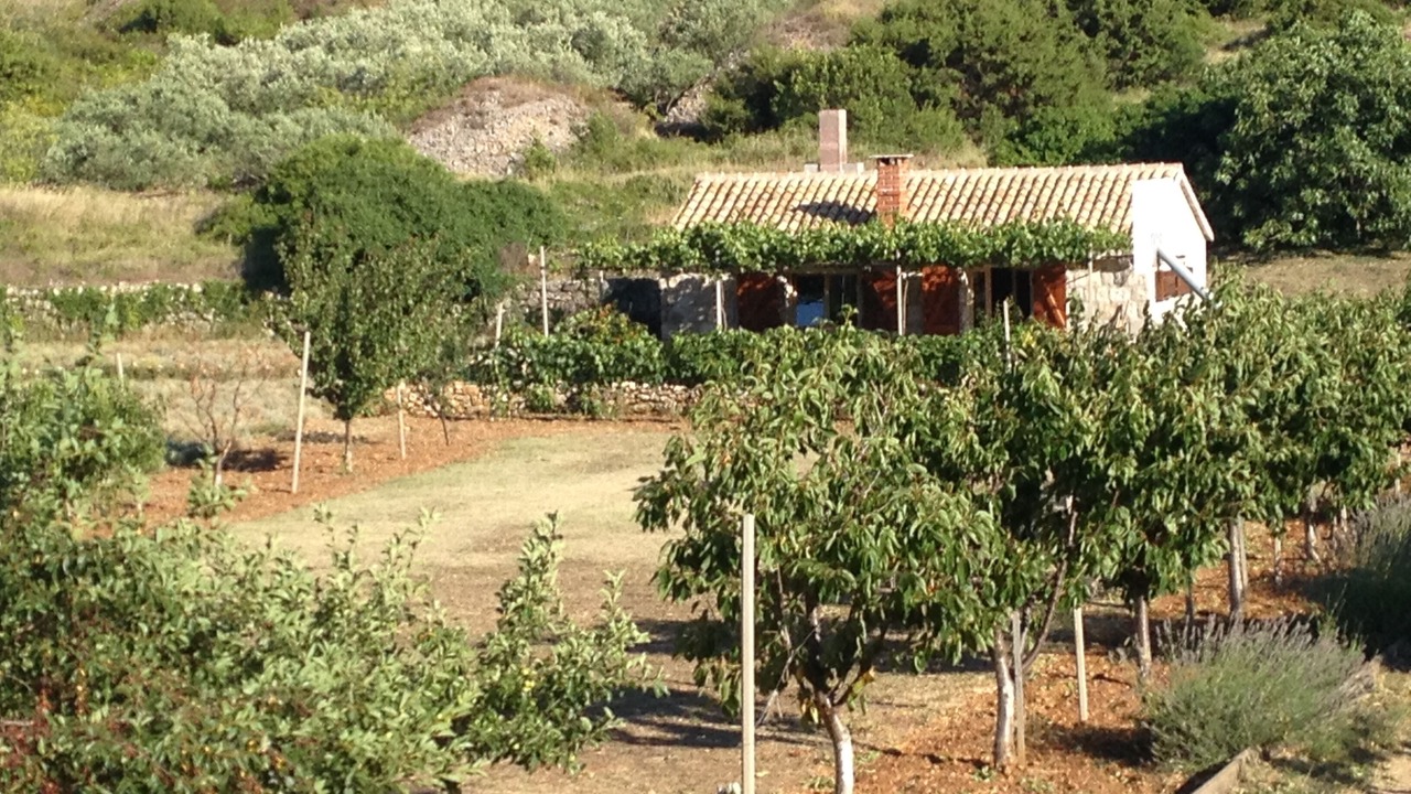 Photo of Outdoor in Zena Glava