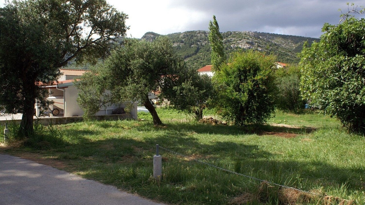 Photo of Others in Zuljana