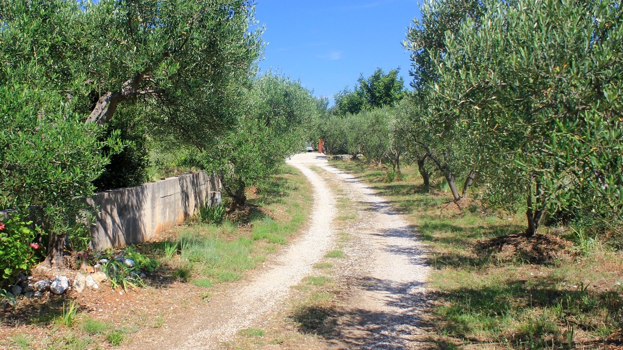 Photo of Outdoor in Stankovici