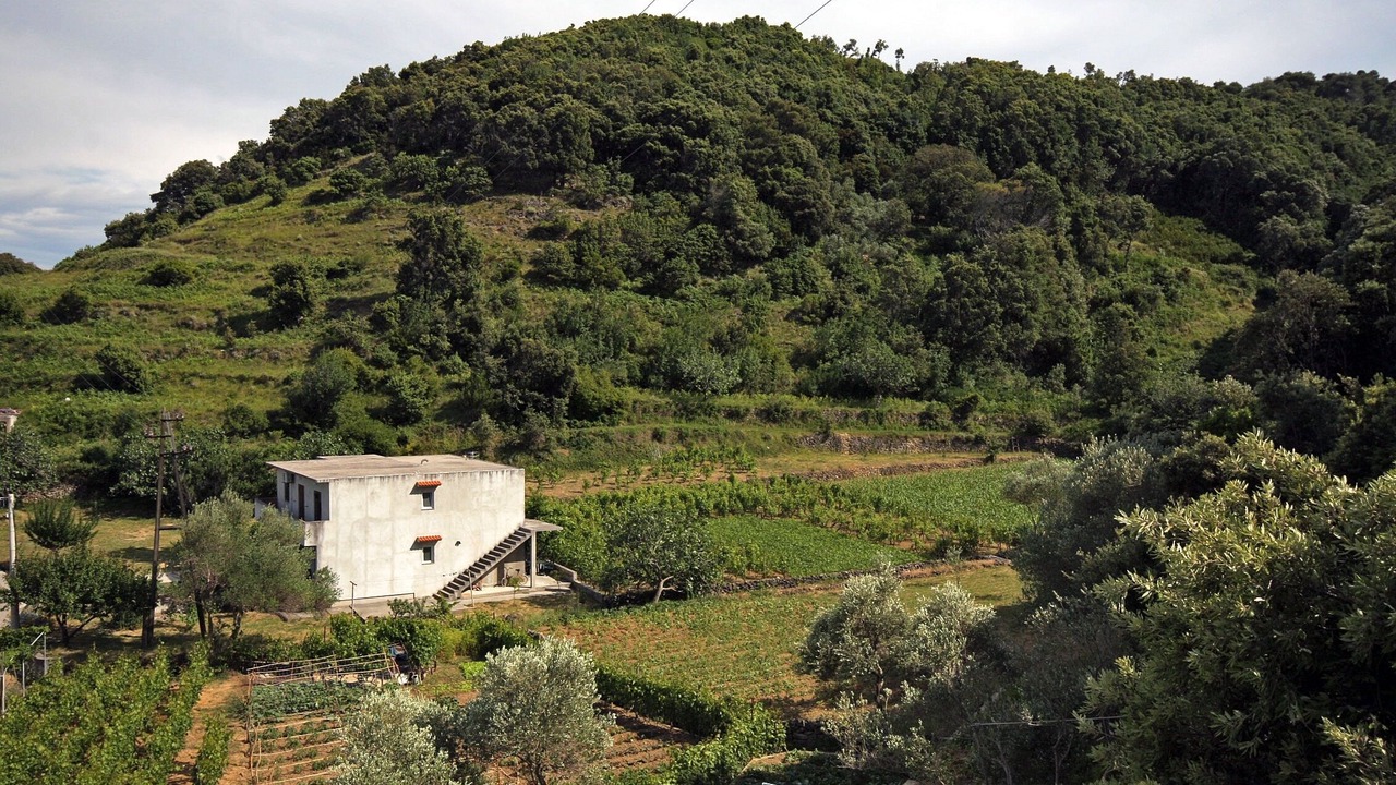 Photo of Others in Supetarska Draga