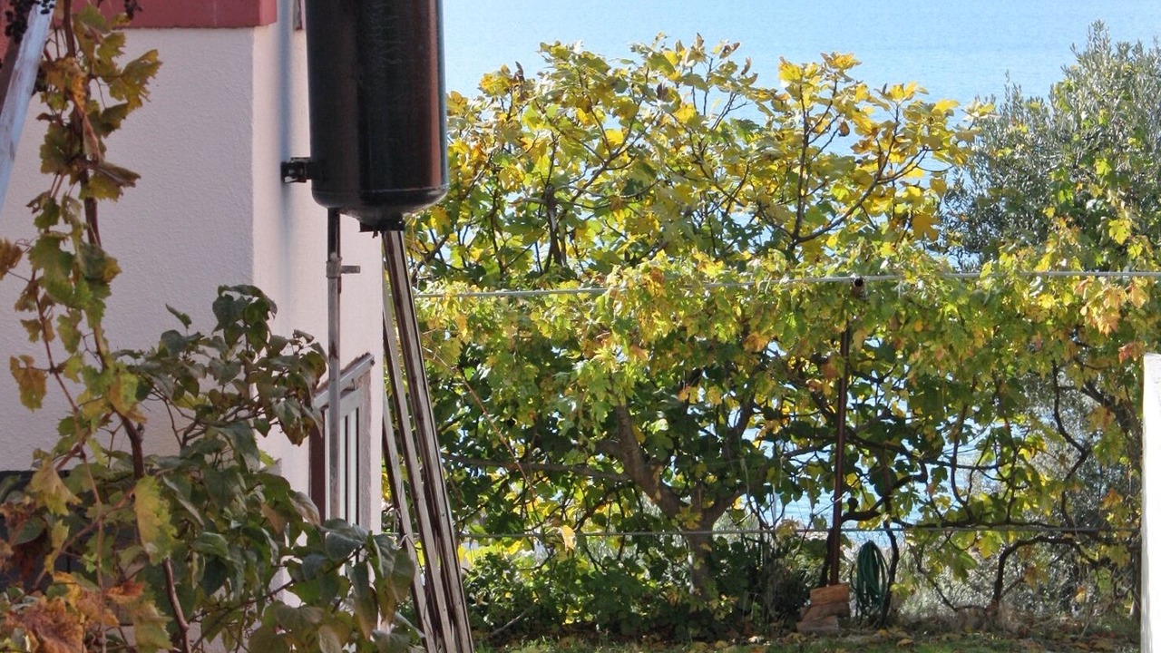 Photo of Outdoor in Sveti Petar