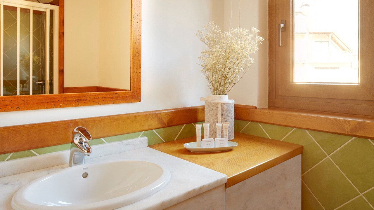 Photo of Bathroom in Vielha