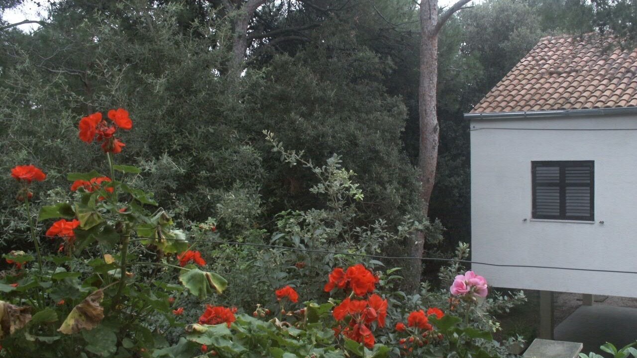 Photo of Others in Artatore