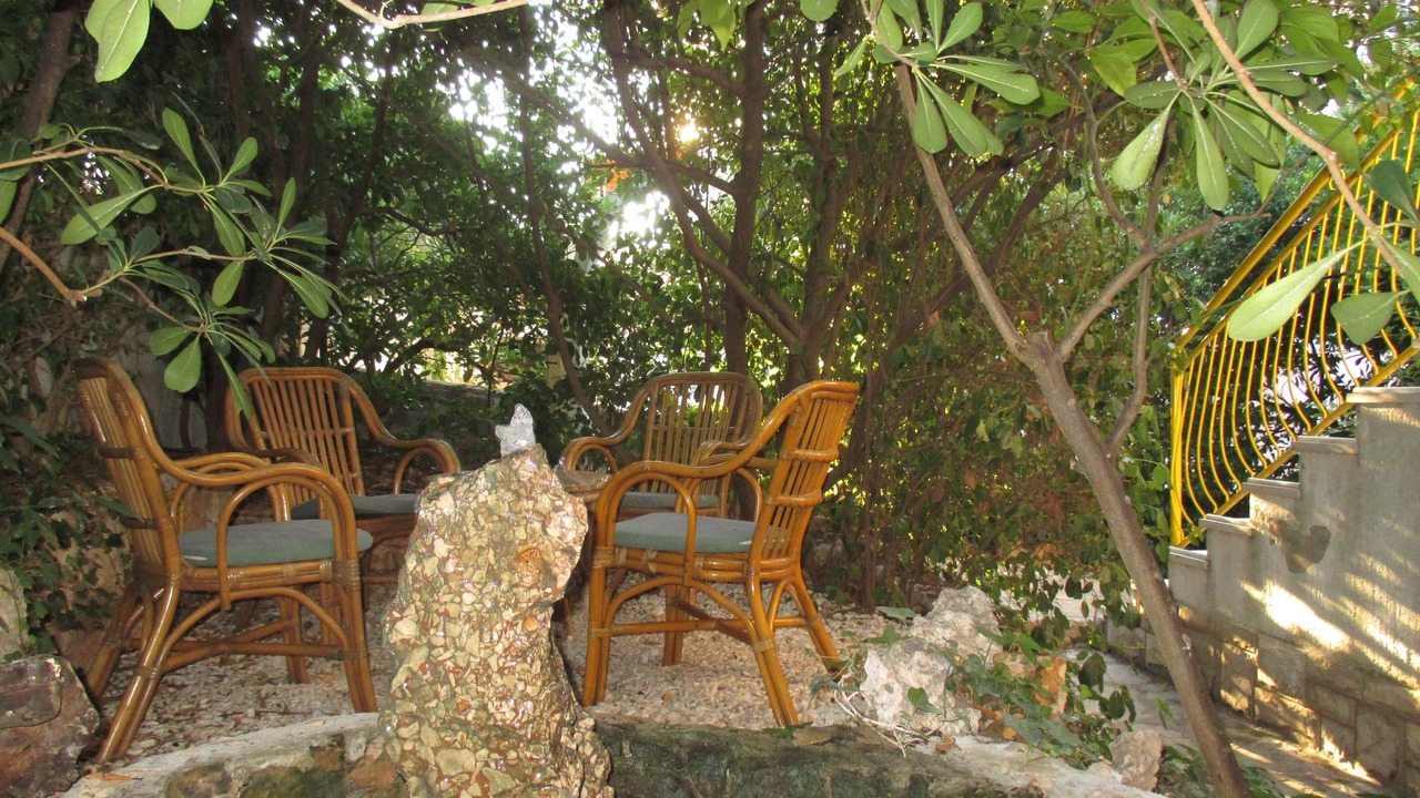 Photo of Outdoor in Ivan Dolac
