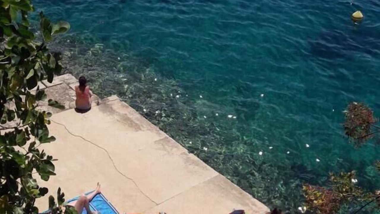 Photo of Others in Brodarica