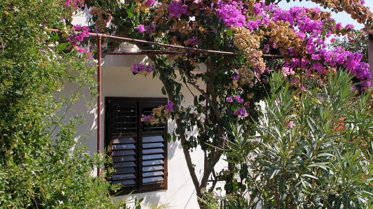 Photo of Outdoor in Vrbanj