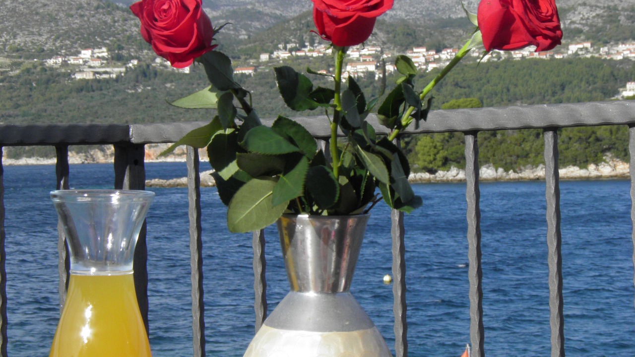 Photo of Others in Kolocep Island