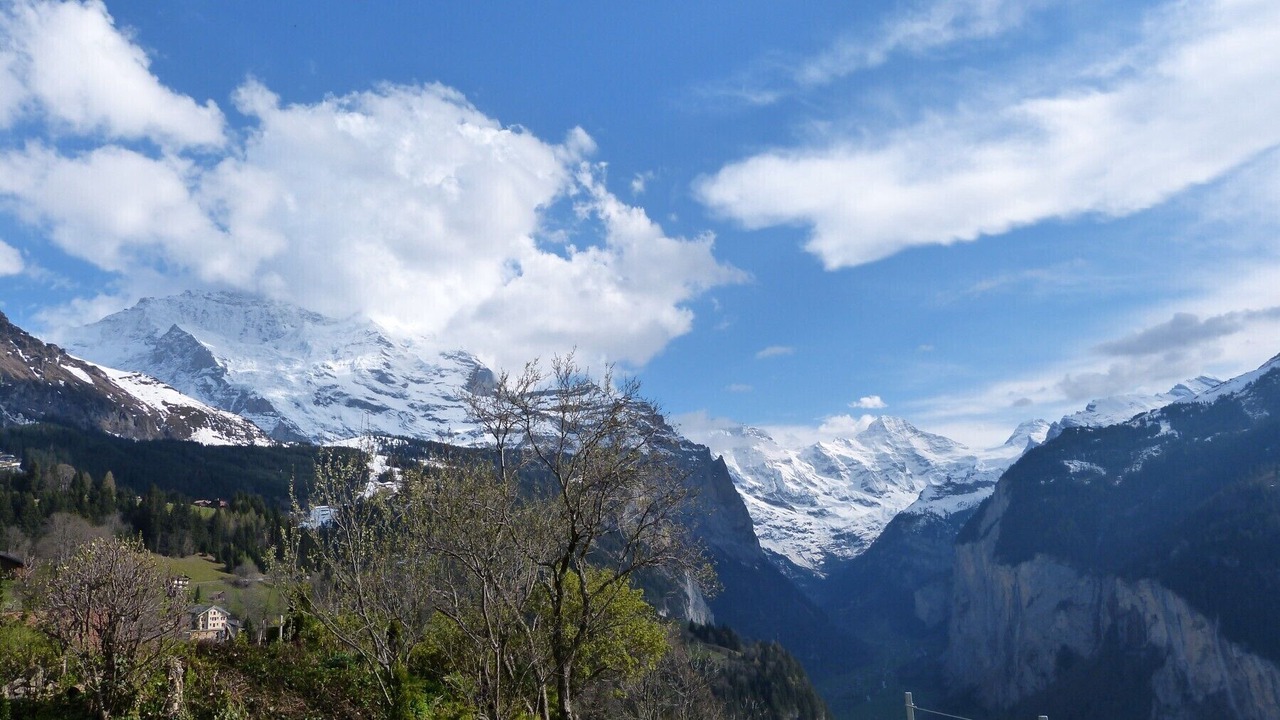 Photo of Others in Wengen