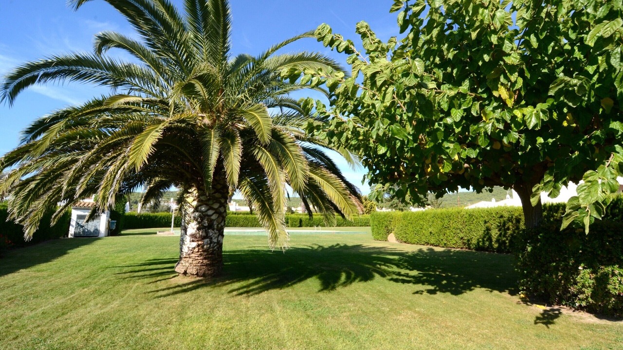 Photo of Others in Torroella de Montgri