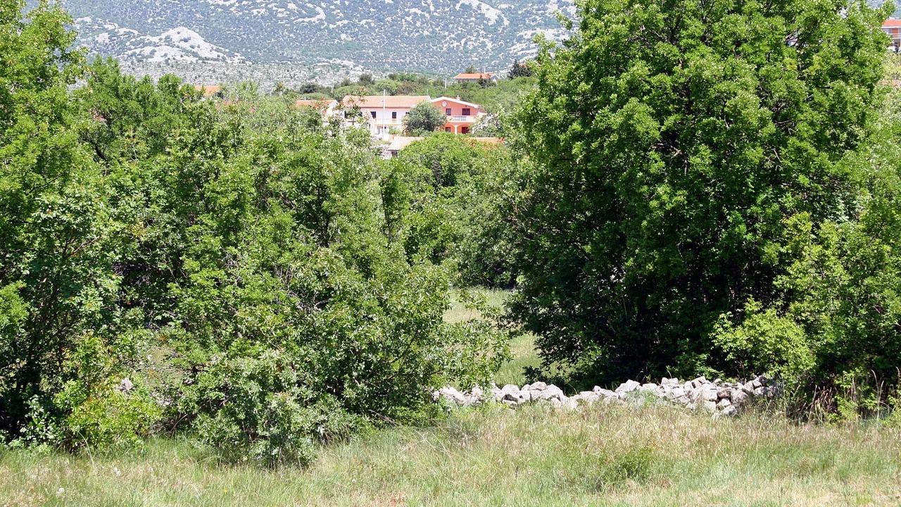 Photo of Others in Rovanjska