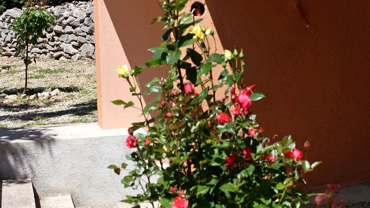 Photo of Outdoor in Rovanjska