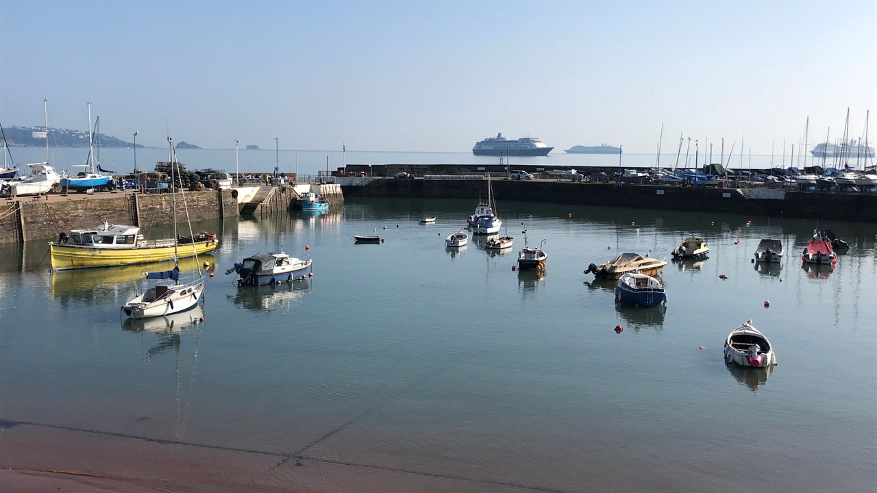Photo of Others in Torquay City Centre
