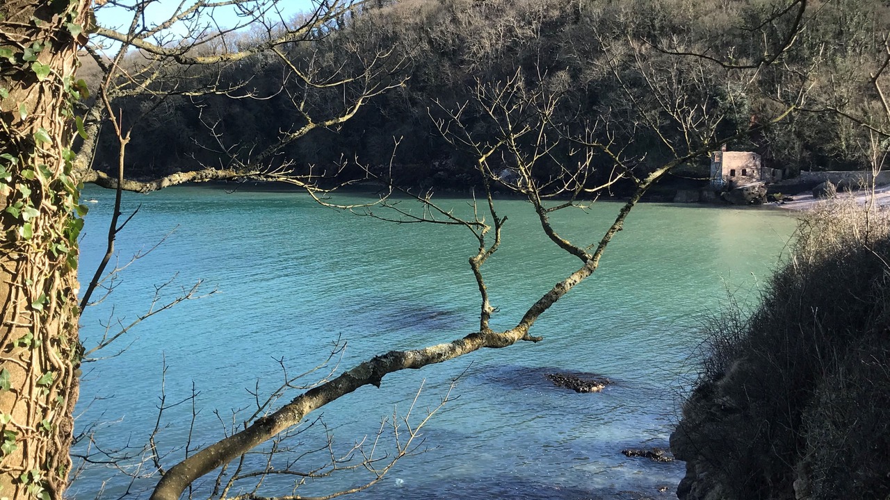 Photo of Others in Torquay City Centre