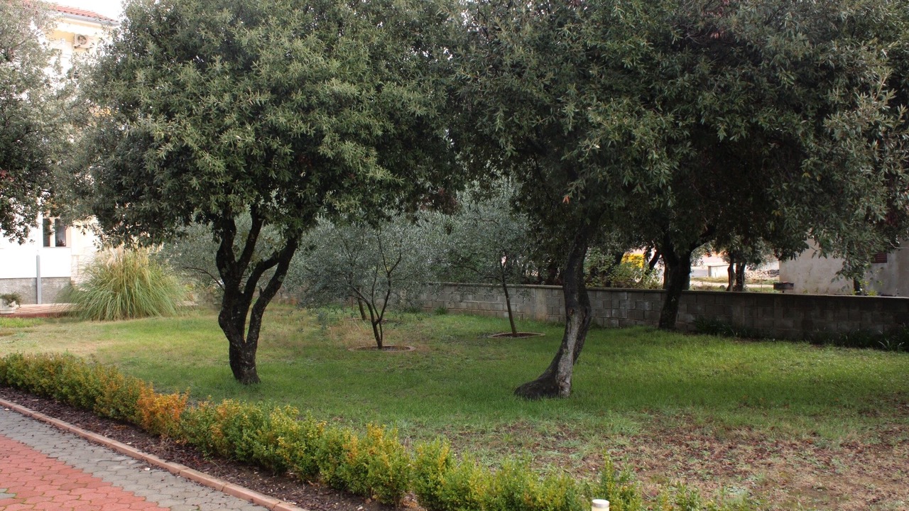 Photo of Outdoor in Vrsi
