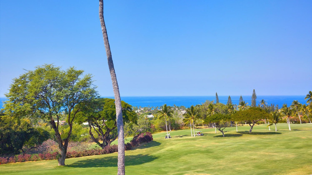 Photo of Others in Keauhou