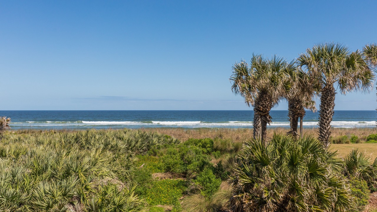 Photo of Others in Palm Coast