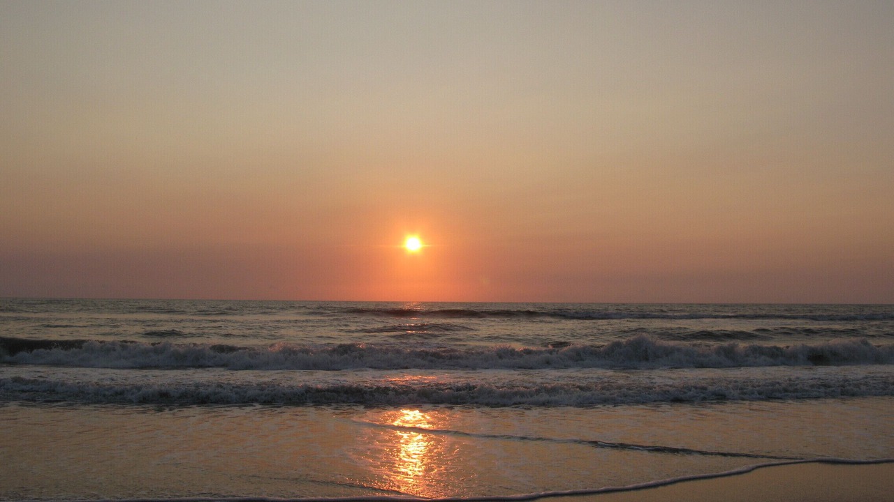 Photo of Others in Palm Coast