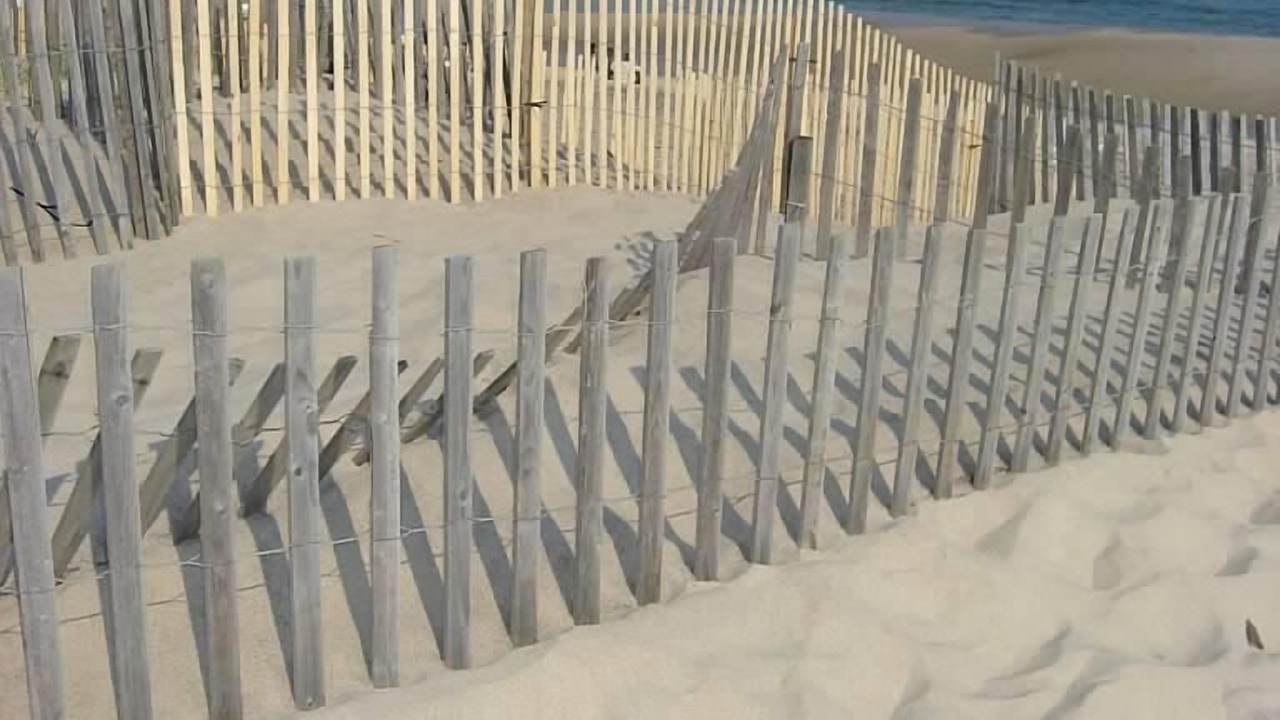 Photo of Others in Bridgehampton