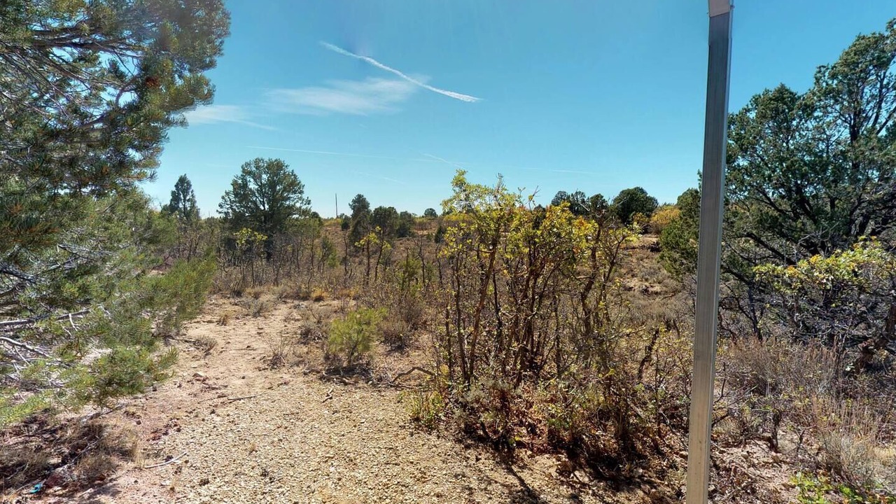 Photo of Outdoor in Monticello