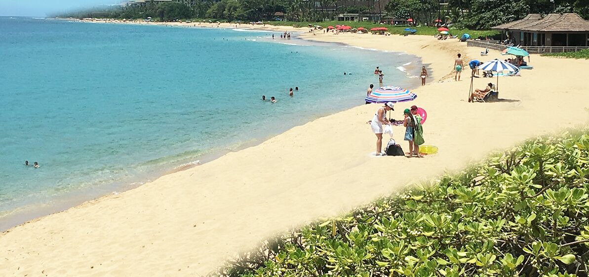 Photo of Others in Kaanapali