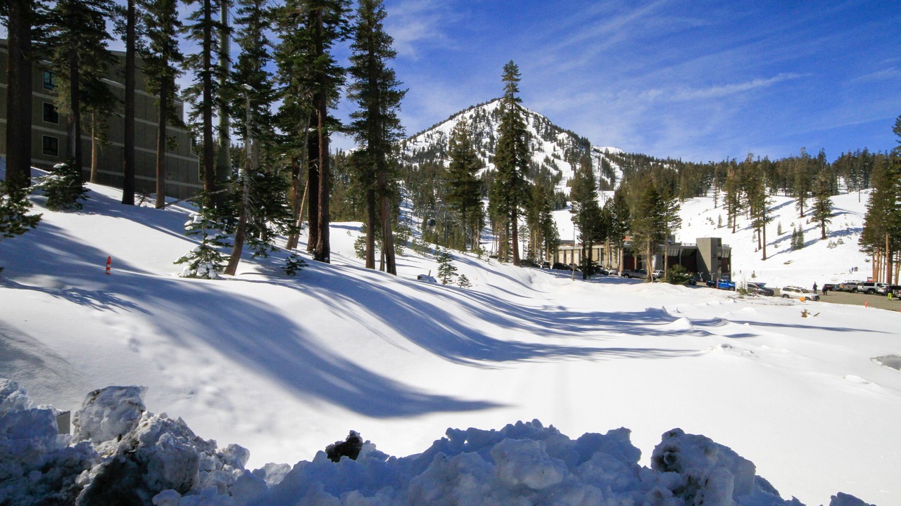 Photo of Others in Mammoth Lakes