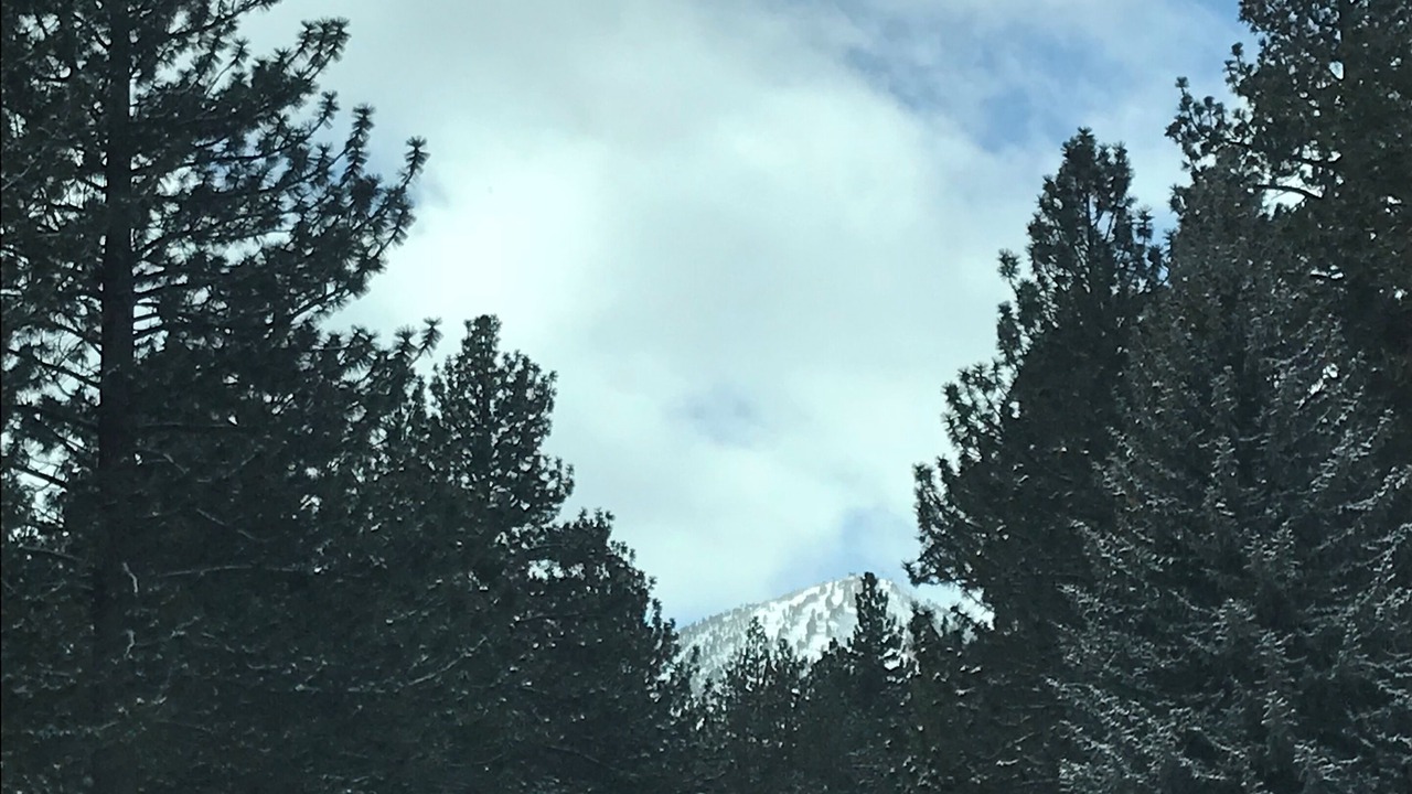 Photo of Others in Mammoth Lakes