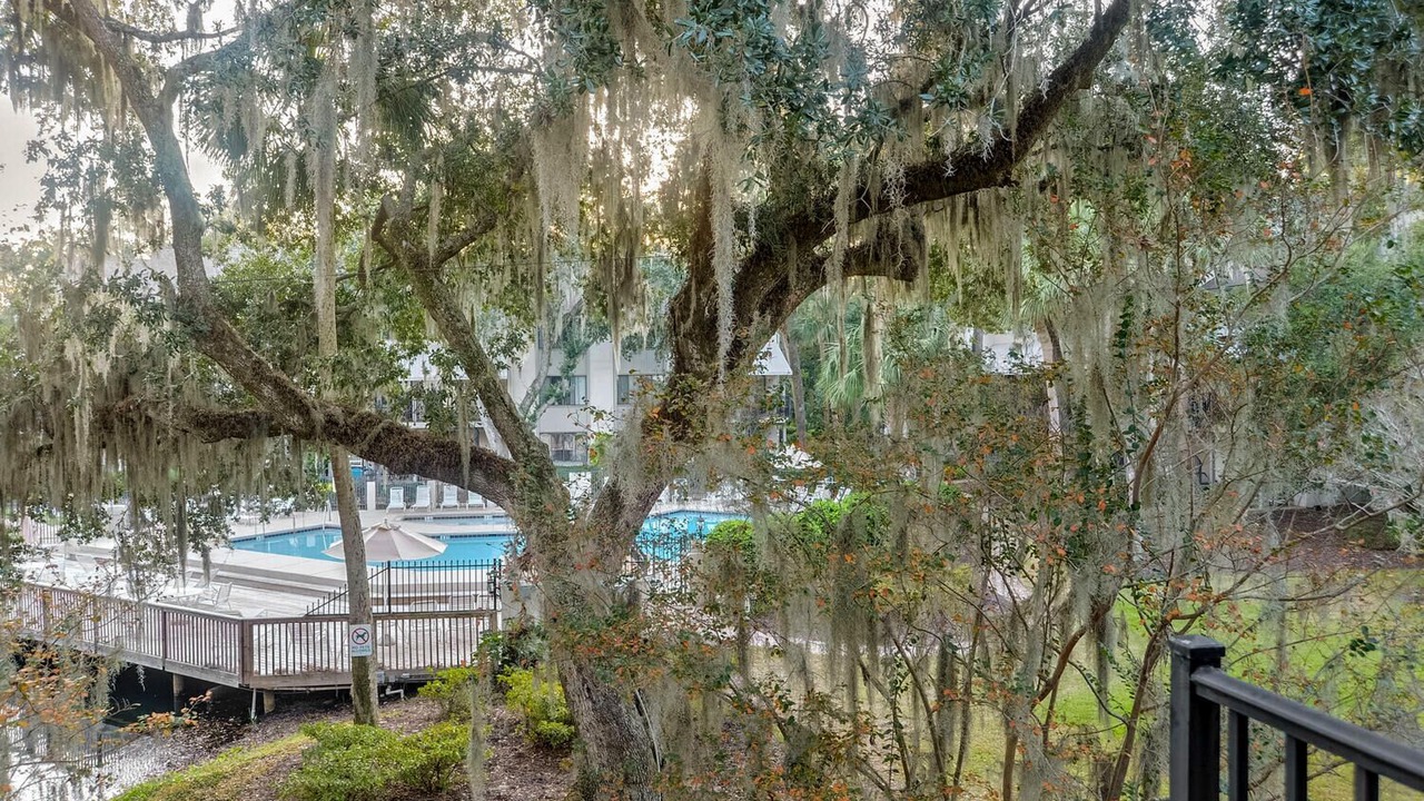Photo of Outdoor in Hilton Head Island