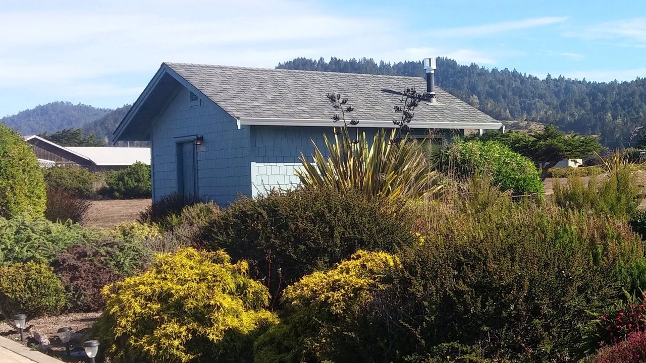 Photo of Others in Fort Bragg