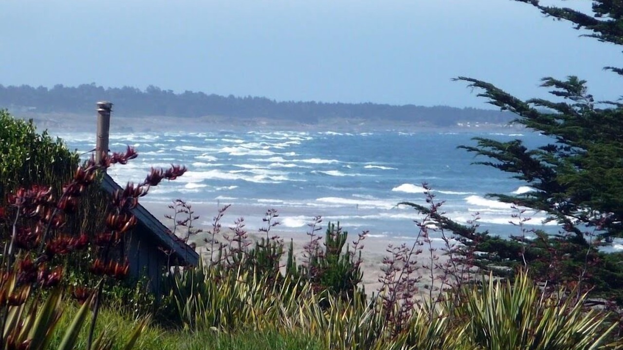 Photo of Others in Fort Bragg