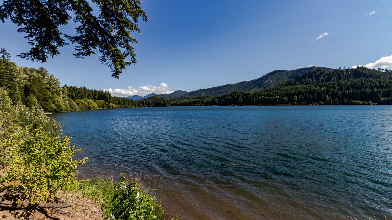 Photo of Others in Easton