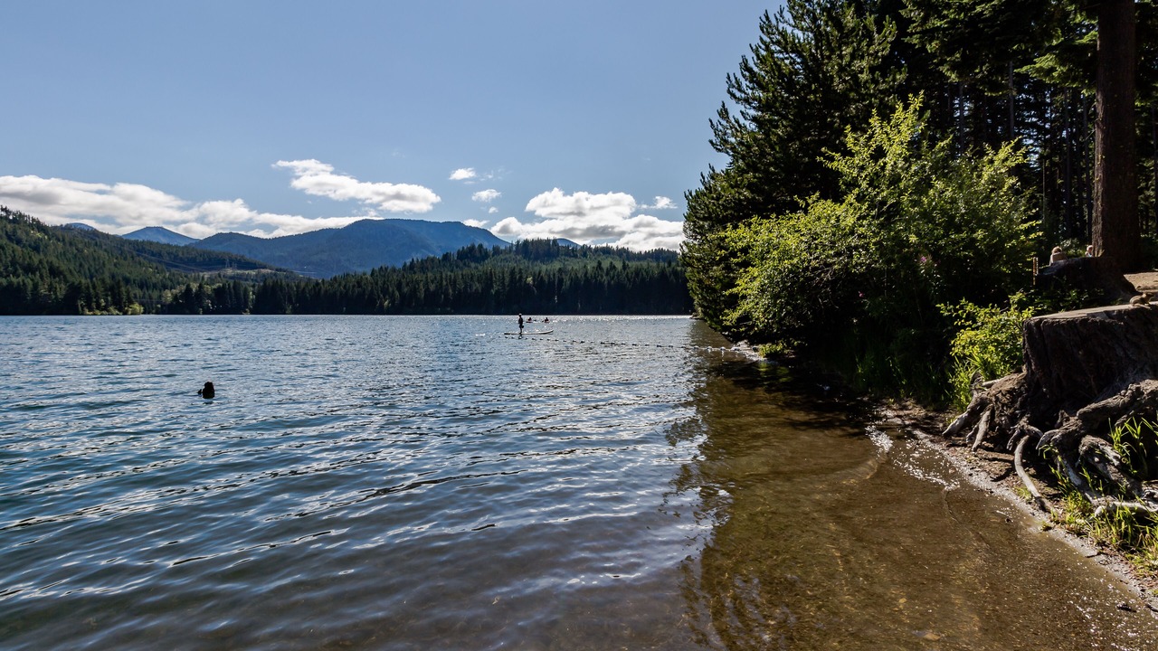 Photo of Others in Easton