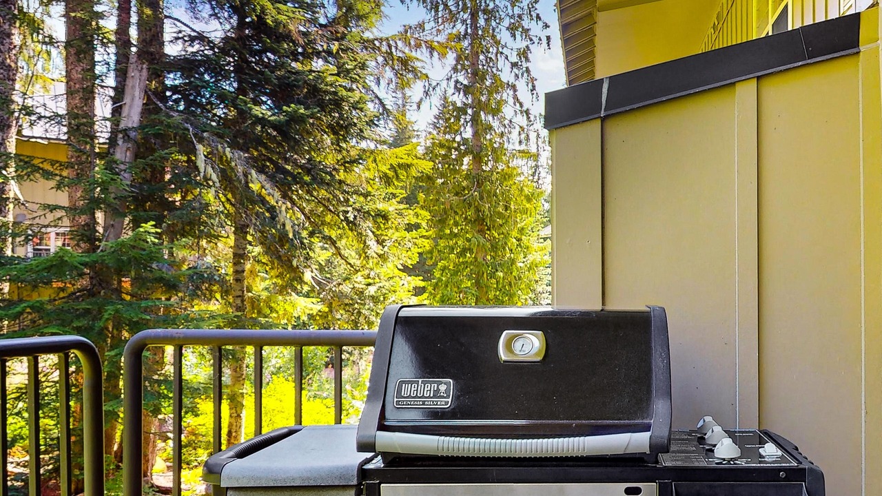 Photo of Outdoor in Government Camp