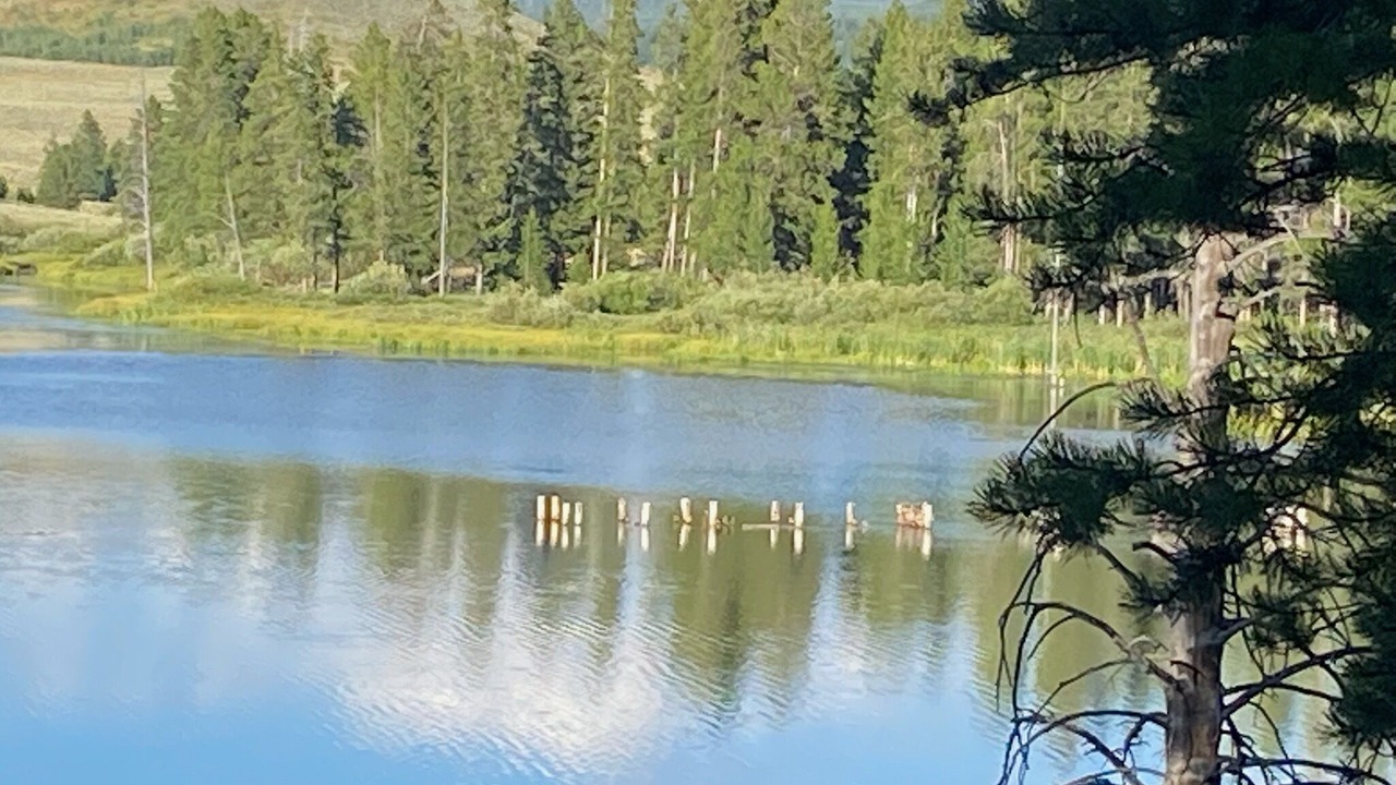 Photo of Outdoor in West Yellowstone