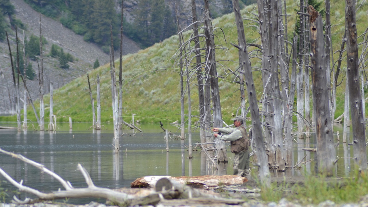 Photo of Others in West Yellowstone