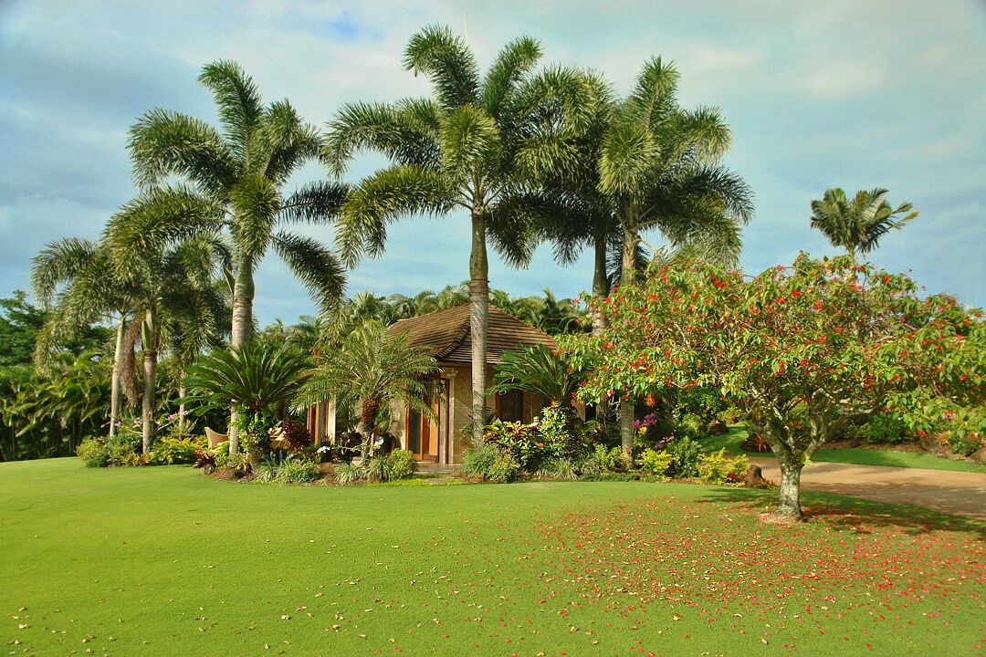 Photo of Outdoor in Kilauea