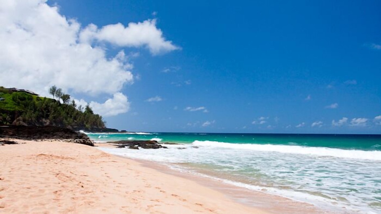 Photo of Others in Kilauea