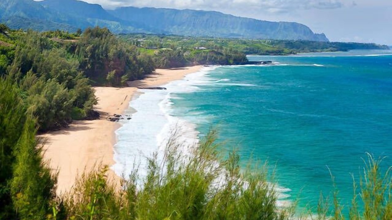 Photo of Others in Kilauea