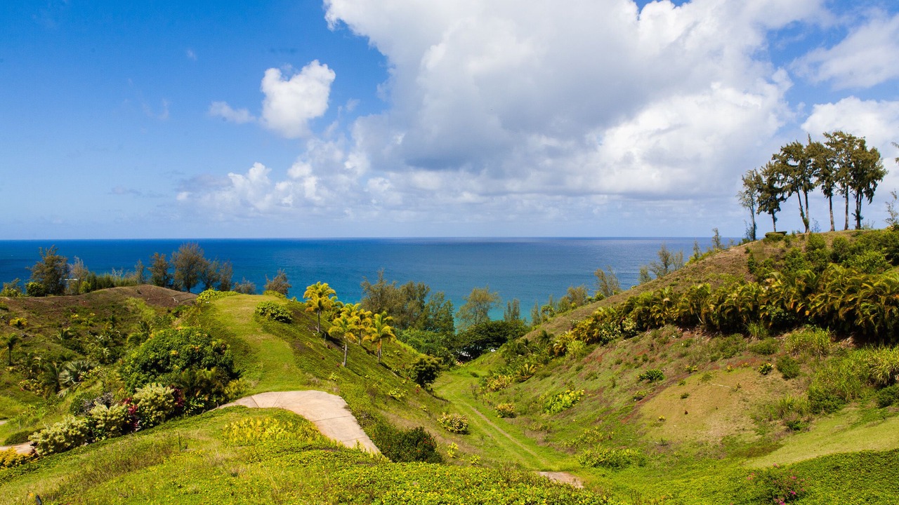 Photo of Others in Kilauea