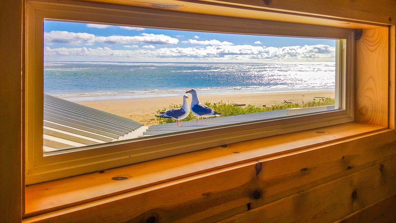 Photo of Others in Happy Camp Hideaway