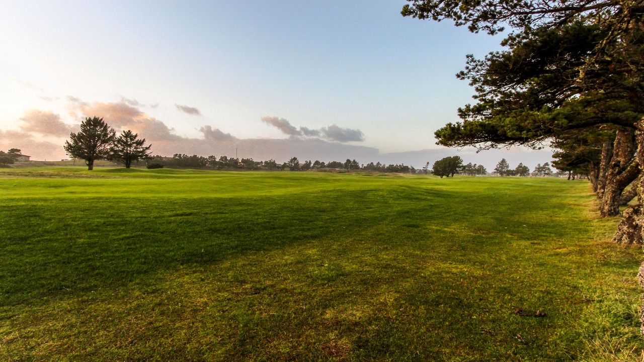 Photo of Others in Gearhart