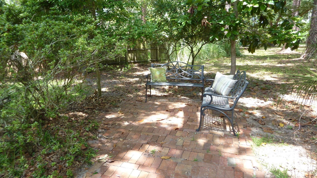 Photo of Outdoor in Jekyll Island