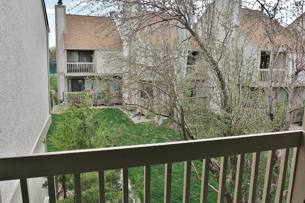 Photo of Others in Park Meadows