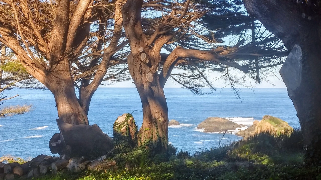 Photo of Others in Mendocino